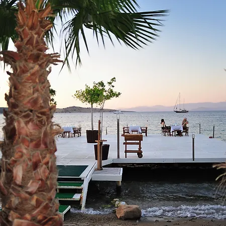 Golkoy Boutique